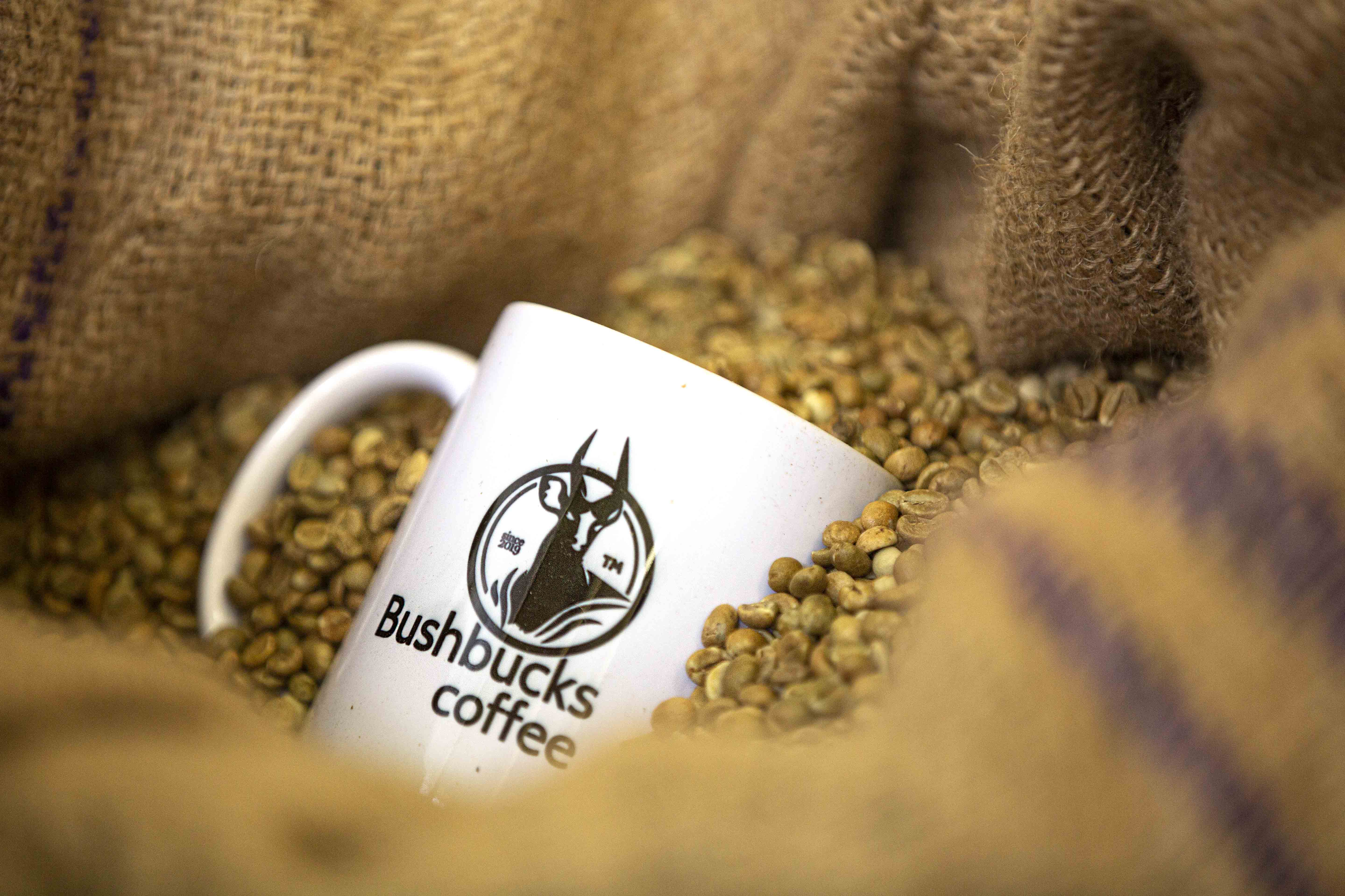 BushBucks Coffee — Ugandan coffee farm